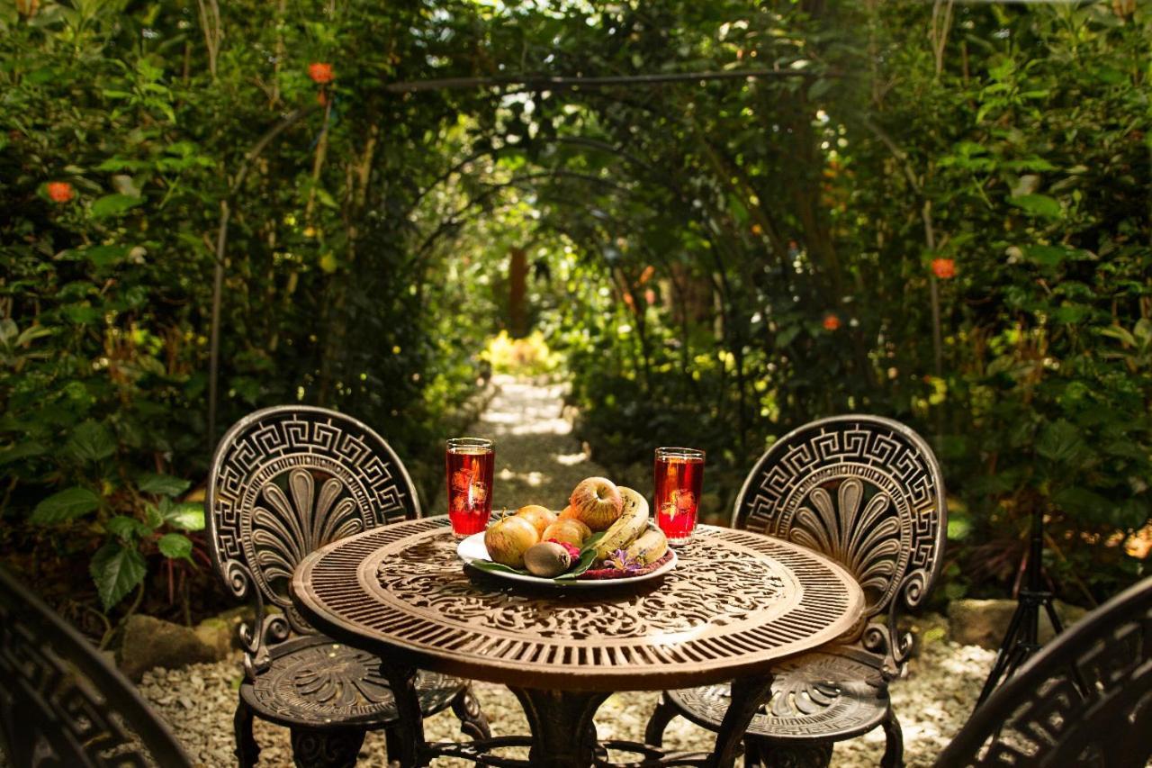 Itchimbia Garden Ayampe Montana Y Mar Villa Eksteriør billede